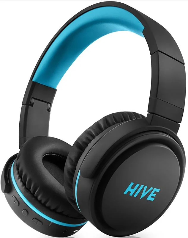 Niceboy HIVE XL 2021 Časově Omezené